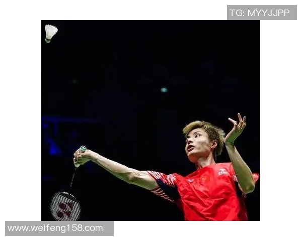 羽毛球耐力排行榜揭晓北京羽毛球队荣获第二名佳绩