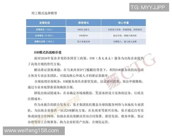 代怀博的崛起与挑战探讨新兴行业中的机遇与风险分析